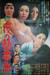 夜の熱帯魚のポスター