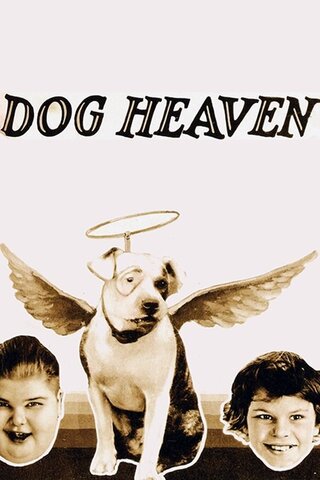 Dog Heaven（原題）のポスター