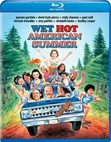 ウェット・ホット・アメリカン・サマー（原題）のポスター
