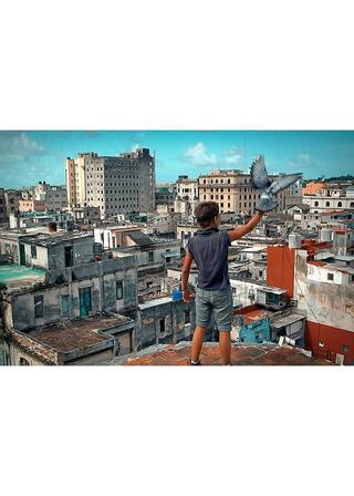 ビヘイビアのポスター