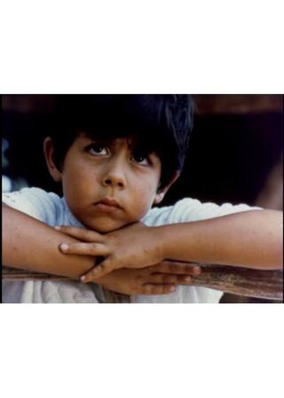 みどりの壁 デジタル・レストア版のポスター