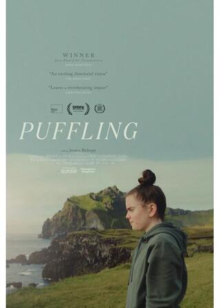 パフィンのポスター