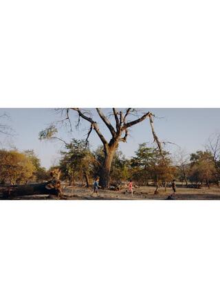 灼熱の陽の下でのポスター