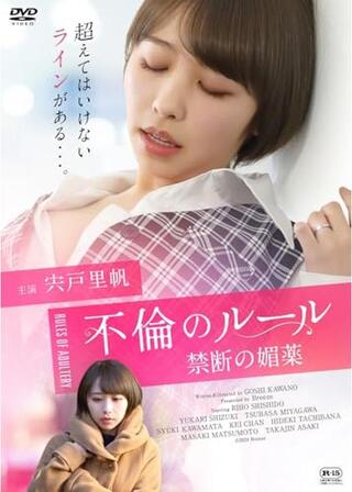 不倫のルール 禁断の媚薬のポスター