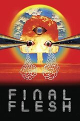 Final Flesh（原題）のポスター