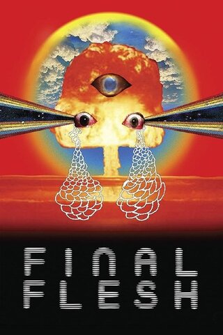 Final Flesh（原題）のポスター