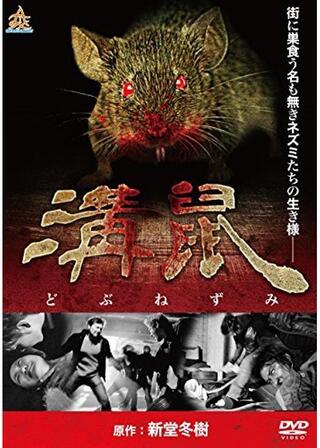 溝鼠のポスター