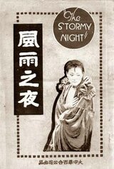 嵐の夜のポスター
