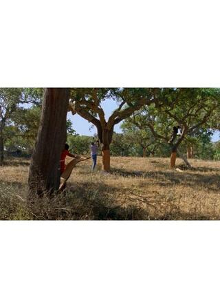 季節のポスター