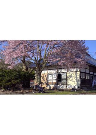 福島桜紀行のポスター