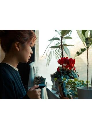 エミレットのポスター