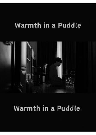 Warmth in a Puddleのポスター