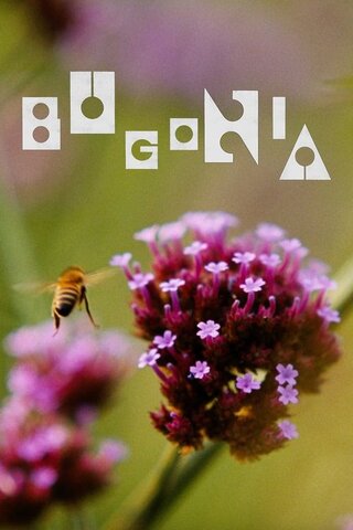 Bugonia（原題）のポスター