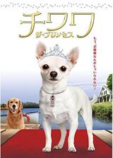 チワワ ザ・プリンセスのポスター