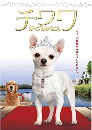 チワワ ザ・プリンセスのポスター