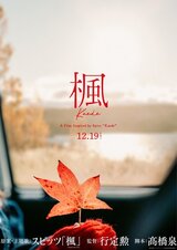 楓のポスター