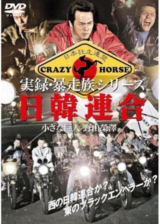 実録・暴走族シリーズ 日韓連合 小さな巨人 野山榮澤のポスター