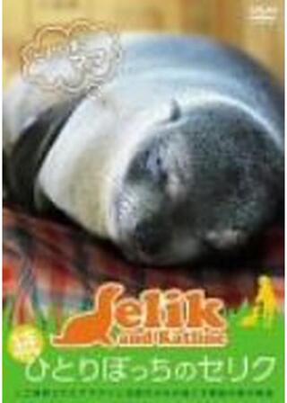 続 ひとりぼっちのセリクのポスター