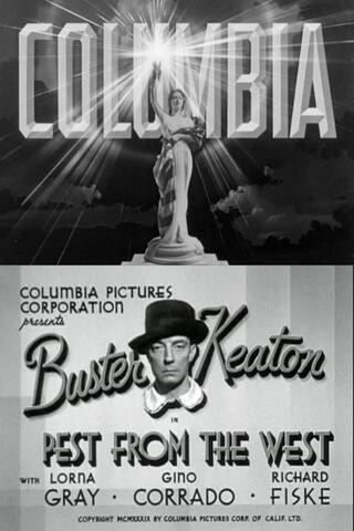 西部から来た厄介者のポスター