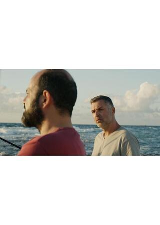 地中海熱のポスター