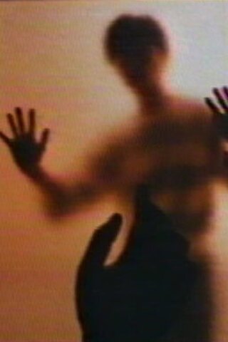 極星のポスター