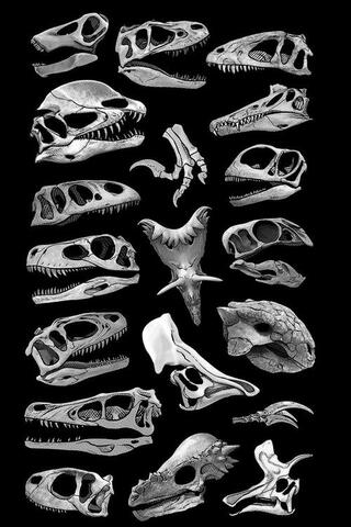 Flowervale Street（原題）のポスター