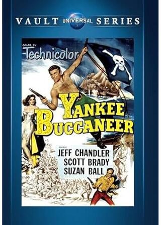 謎の海賊のポスター