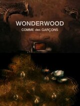 ワンダーウッドのポスター
