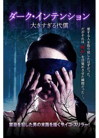 ダーク・インテンション 大きすぎる代償のポスター