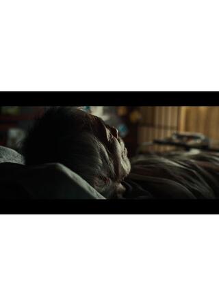 緑の雪のポスター