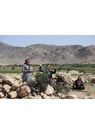 ハキシュカのポスター