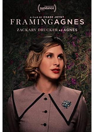 アグネスを語ることのポスター