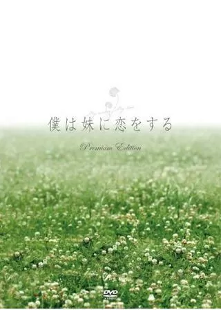 僕は妹に恋をするのポスター