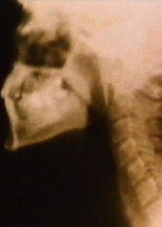 サンクタスのポスター