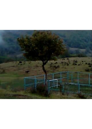 枯れ葉のポスター