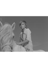 白い馬 4Kのポスター