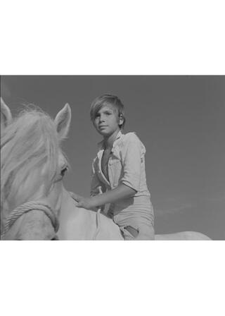 白い馬 4Kのポスター