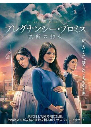 プレグナンシー・プロミス 禁断の約束のポスター
