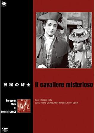 神秘の騎士のポスター