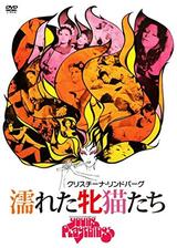 濡れた牝猫たちのポスター