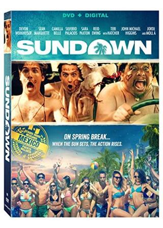 DJファントム・イン・ザ・ハウスのポスター