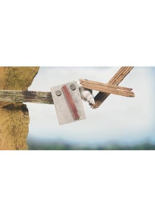 さよならバルタザールのポスター