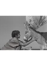 ⼩さなロバ、ビム 4Kのポスター