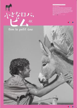 ⼩さなロバ、ビム 4Kのポスター