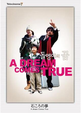 石ころの夢のポスター