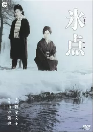 氷点のポスター