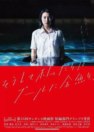 そうして私たちはプールに金魚を、のポスター