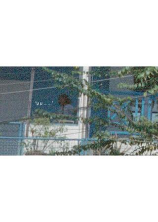 バンコクでゴーストになる⽅法のポスター