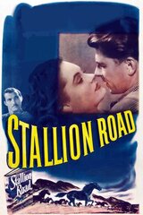 スタリオン街道のポスター