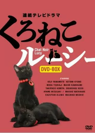 くろねこルーシーのポスター